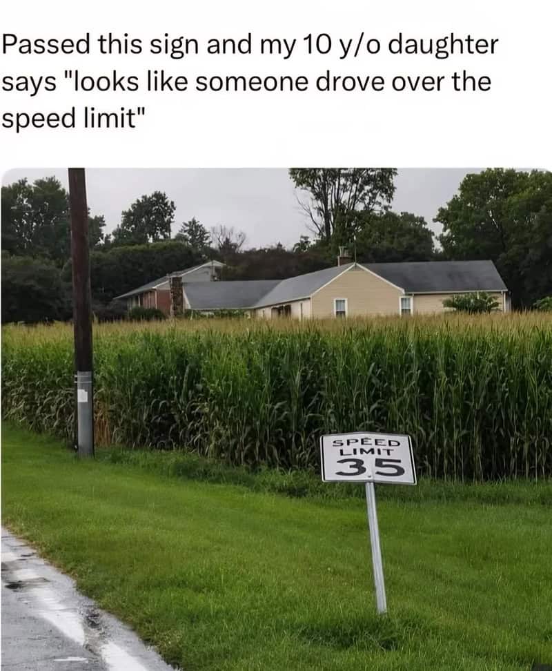 Sign in a field with a house in the background, reading 'Speed Limit 35'.