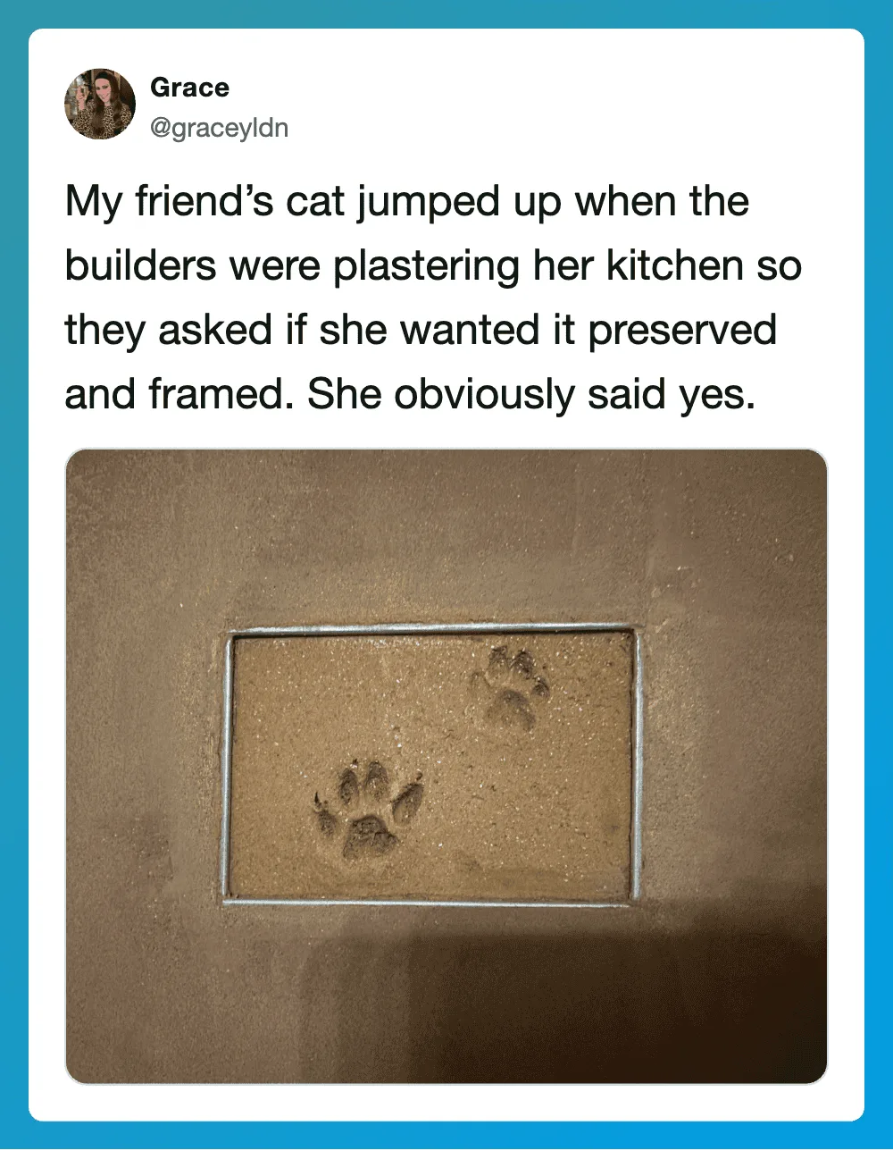 Cat's paw prints in a framed kitchen floor patch, with a tweet about a cat and builders.