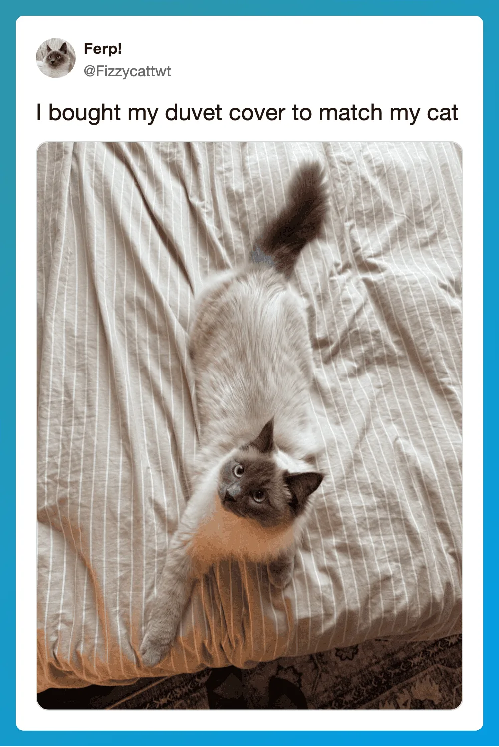 Duvet cover matching the cat's fur color with a Siamese cat lying on it.