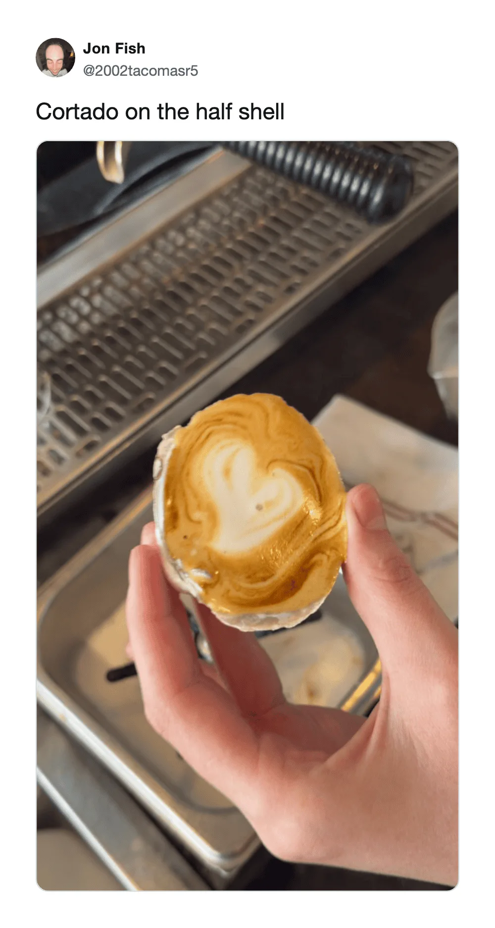 Person holding a half shell of scallop with caramelized top, kitchen background.