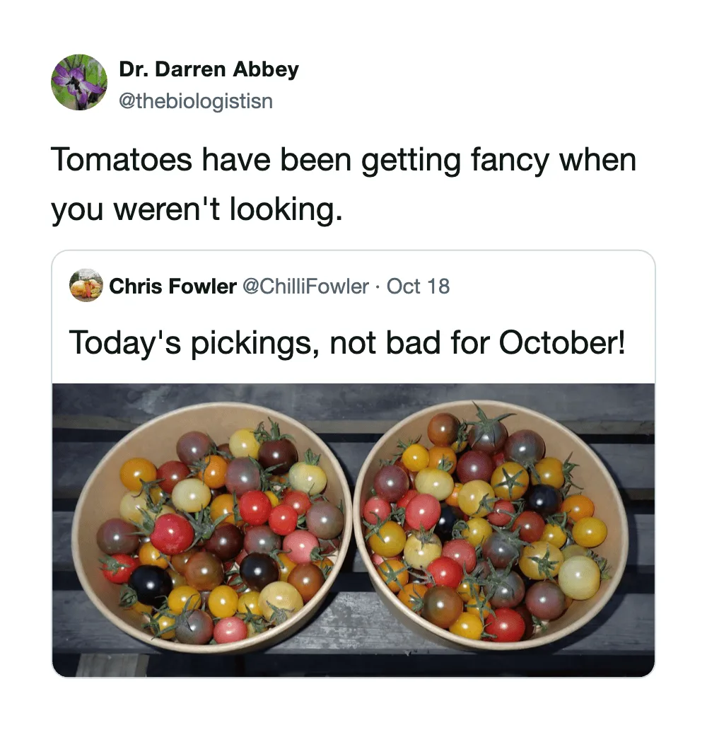 Two bowls of colorful cherry tomatoes, some with green stems, on a dark surface.