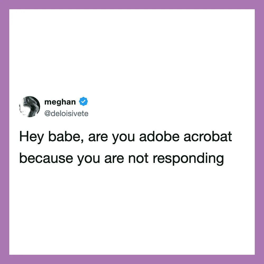 Tweet from meghan: Hey babe, are you adobe acrobat because you are not responding.
