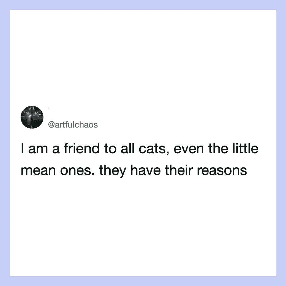 Friend to all cats, even the little mean ones. They have their reasons.