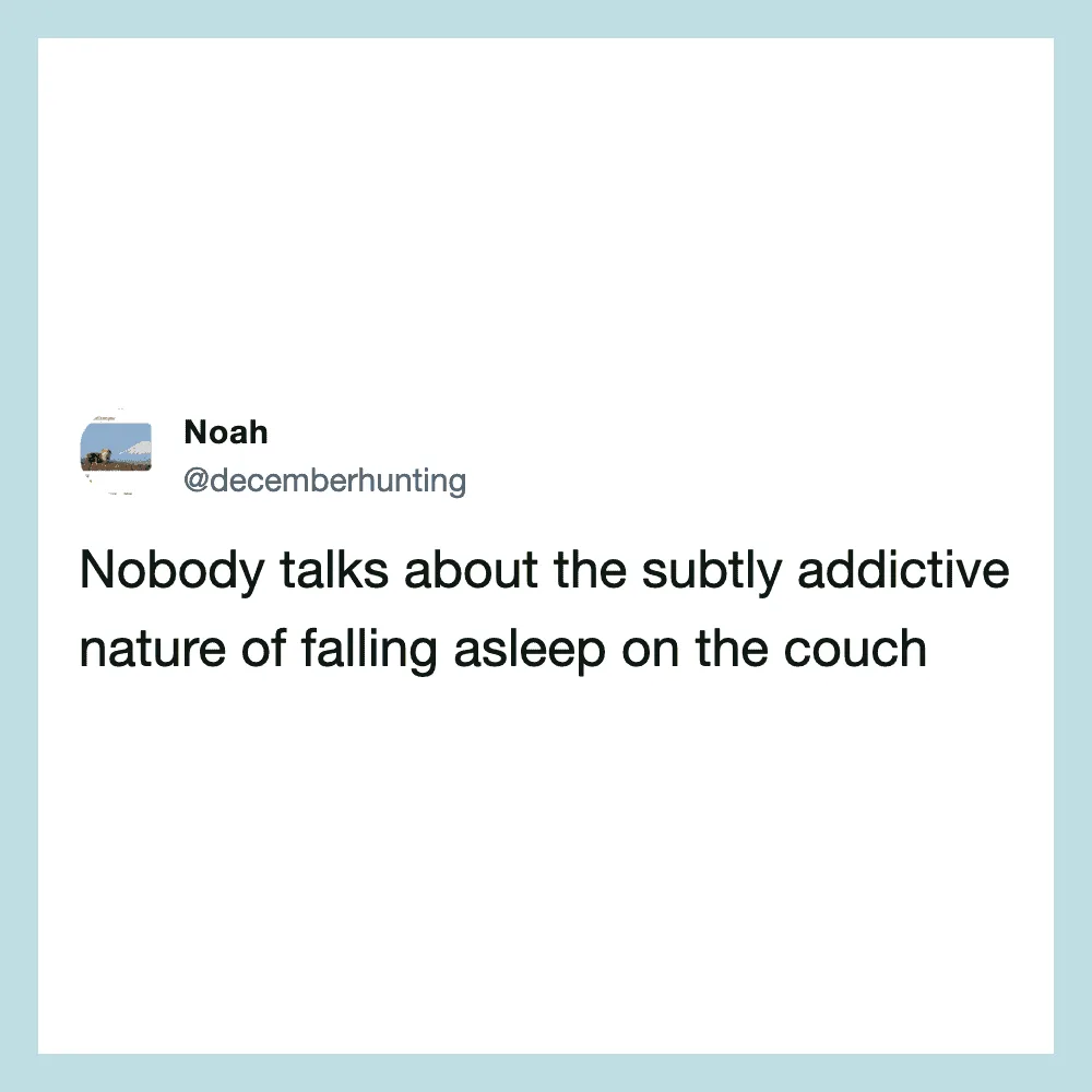 Nobody talks about the subtly addictive nature of falling asleep on the couch.