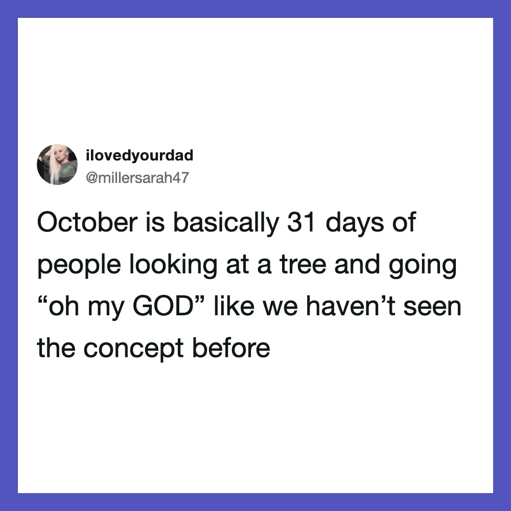Tweet about October being 31 days of people looking at trees and saying 'oh my GOD'.