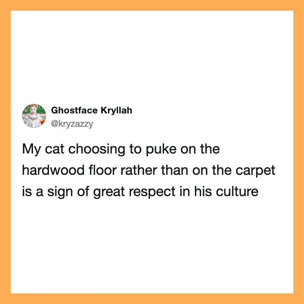 My cat choosing to puke on the hardwood floor rather than on the carpet is a sign of great respect.
