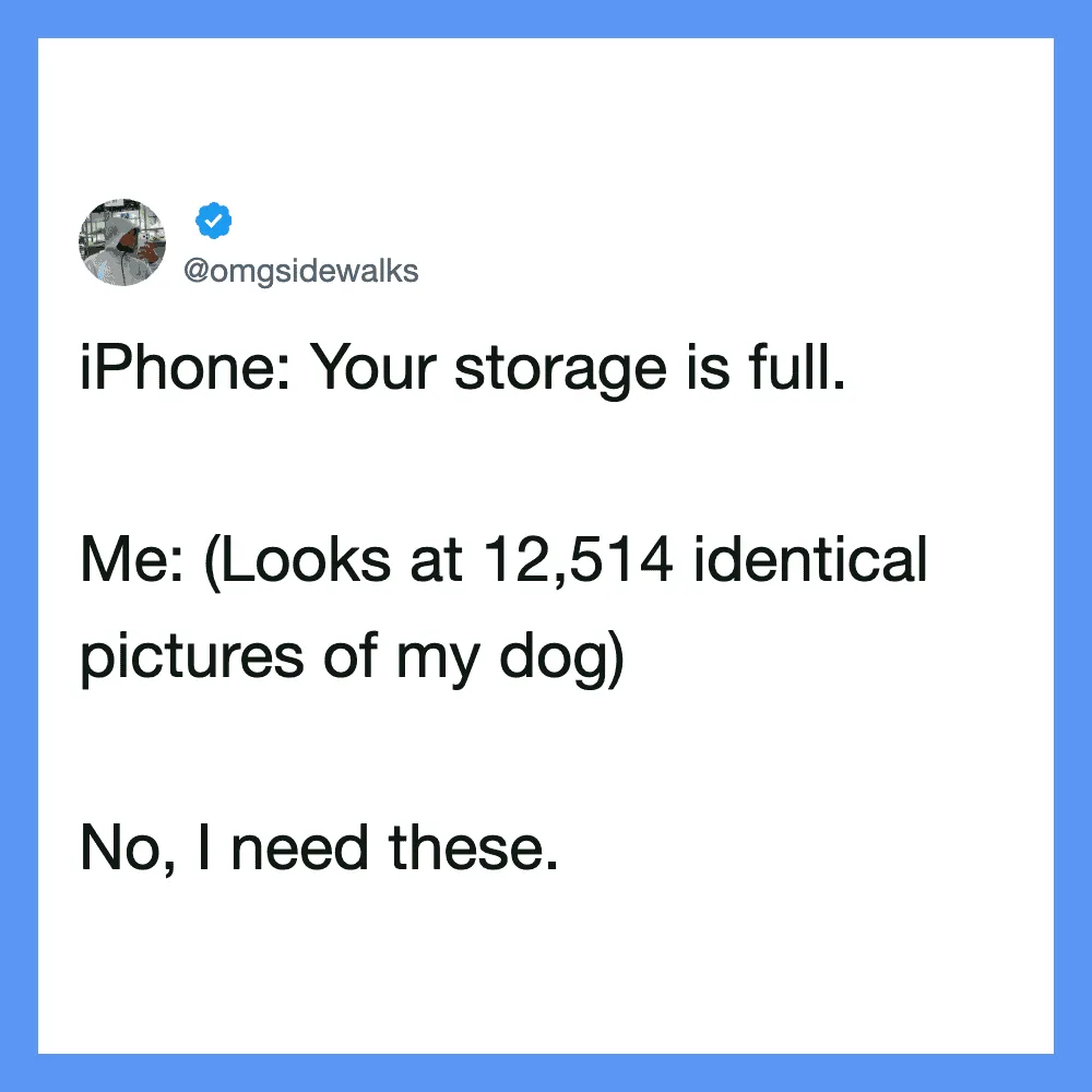 A tweet about iPhone storage being full and looking at pictures of a dog.