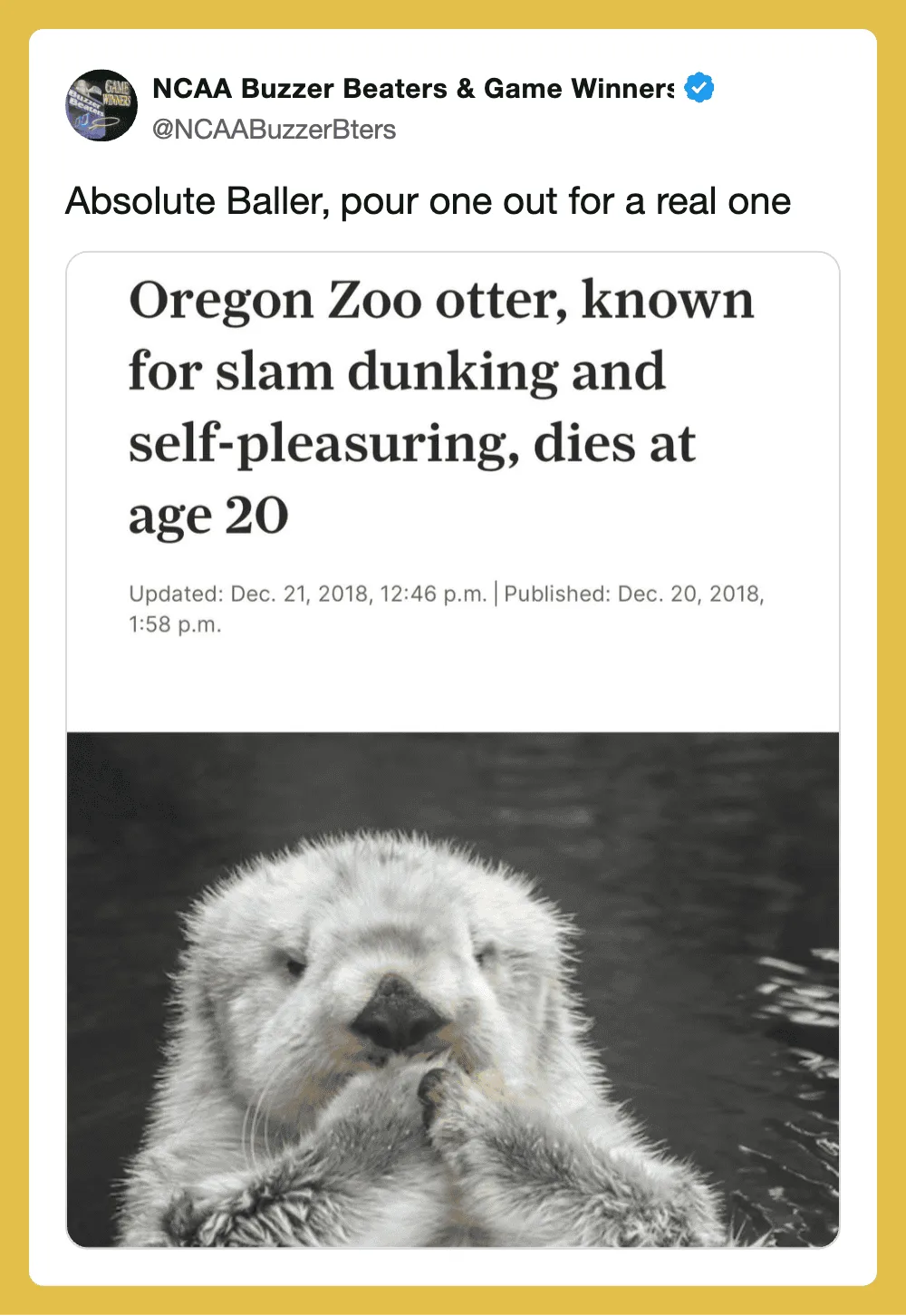 Oregon Zoo otter, known for slam dunking and self-pleasuring, dies at age 20.