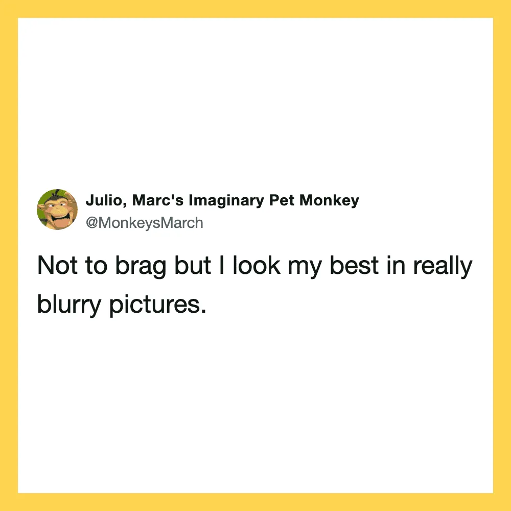 Julio, Marc's Imaginary Pet Monkey tweet about blurry pictures.
