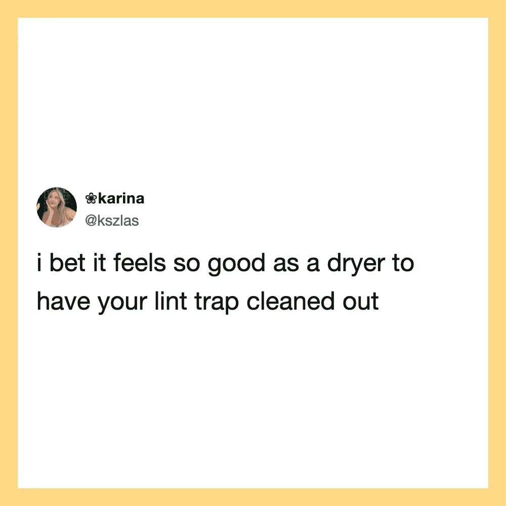 Tweet by @kszlas about how it feels good to have a lint trap cleaned out.