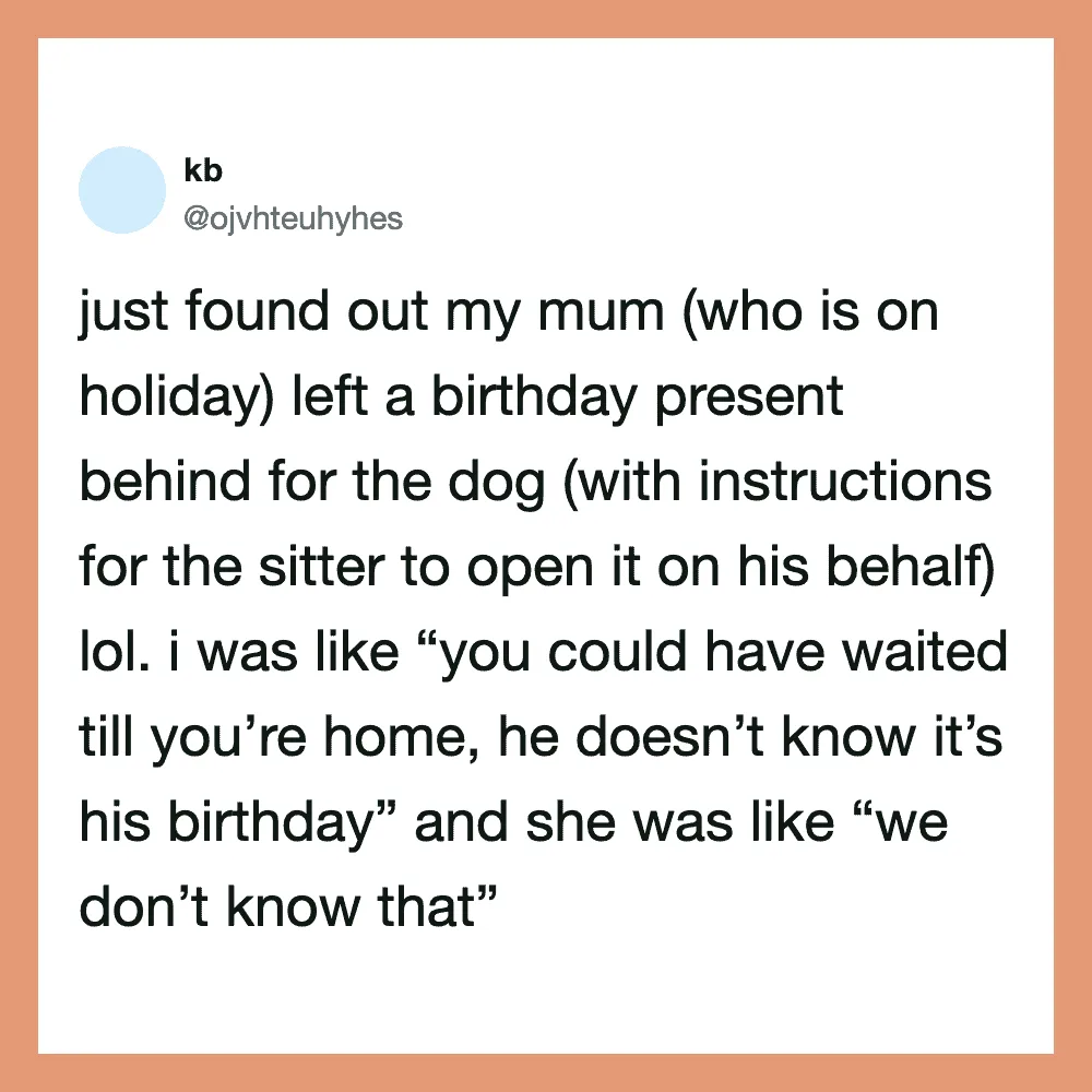 Twitter post about a dog birthday gift left by a mom on holiday.