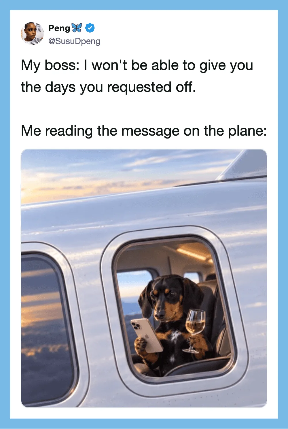 Dog reading message on plane window with sunset view.