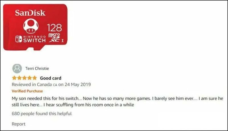 Nintendo Switch 128GB microSD card by SanDisk with review by Terri Christie.