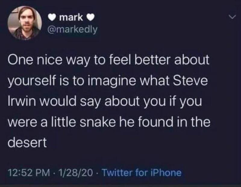 Twitter post by mark about Steve Irwin and a snake in the desert.