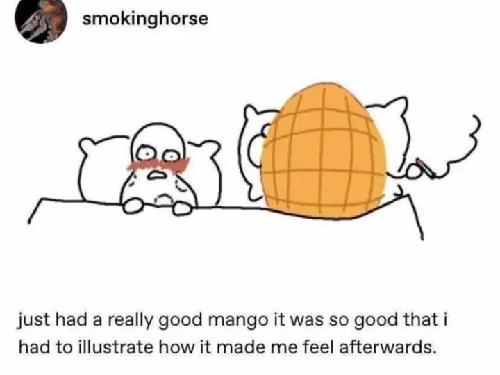 Cartoon of a person with a mango mask in bed, feeling emotional.