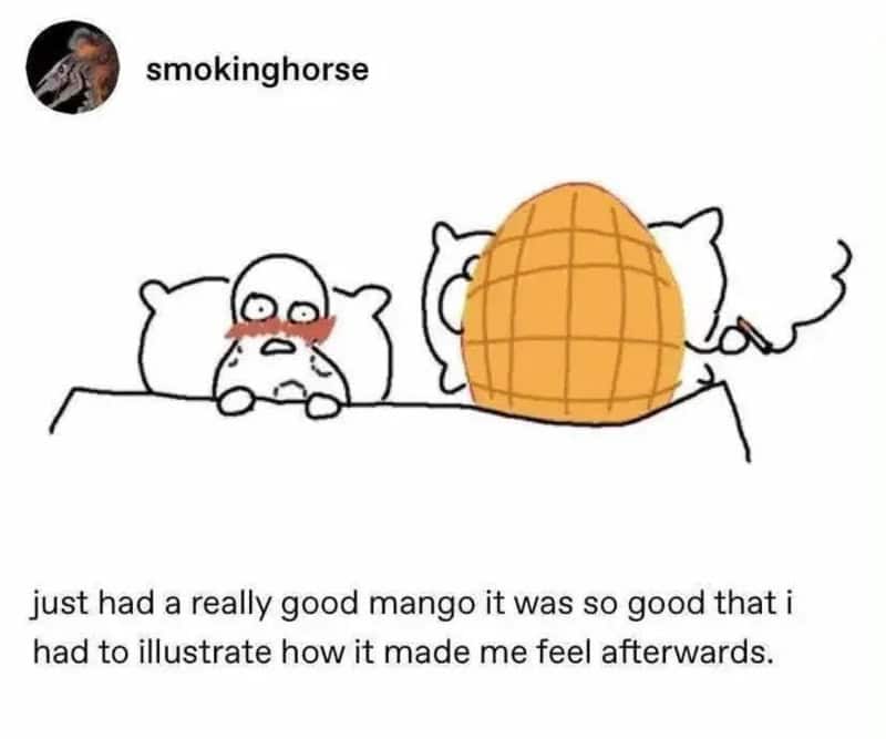 Cartoon of a person with a mango mask in bed, feeling emotional.