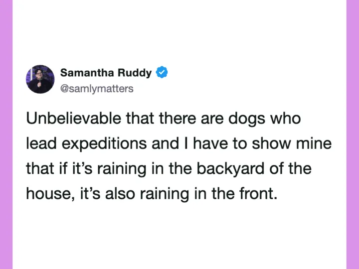 Samantha Ruddy's tweet about dogs leading expeditions and rain in the backyard and front.