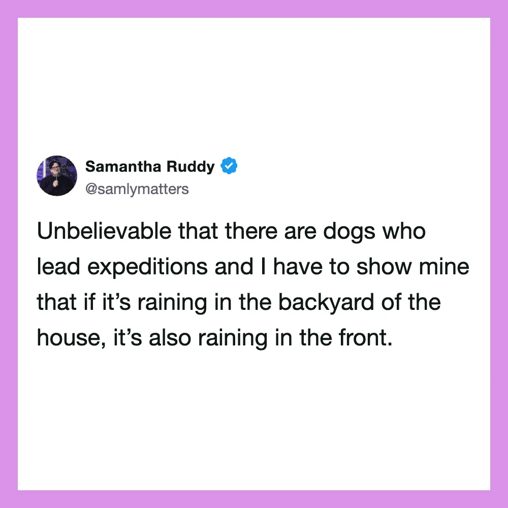 Samantha Ruddy's tweet about dogs leading expeditions and rain in the backyard and front.
