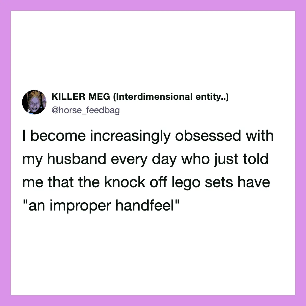 Tweet by KILLER MEG about obsession with her husband and lego sets.