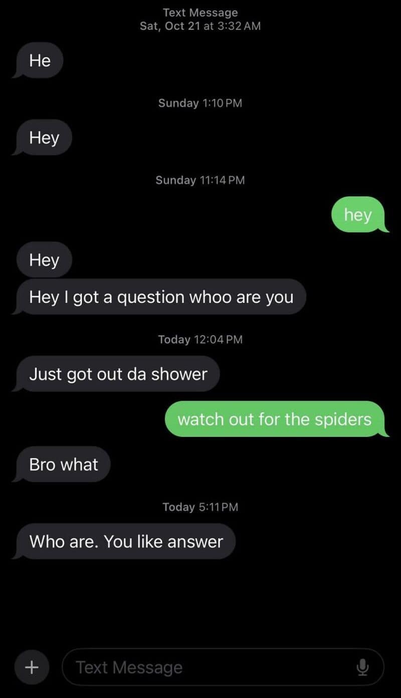 Text message conversation about spiders and shower, with humorous responses.