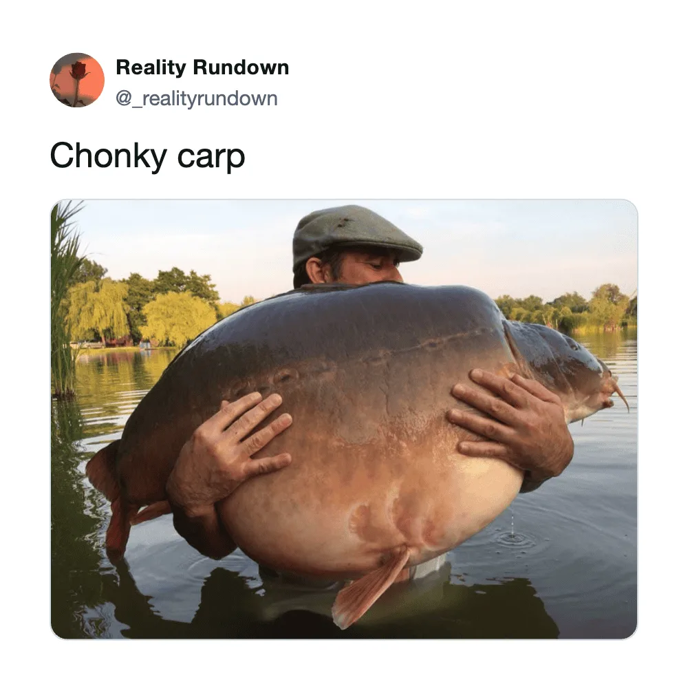Man holding a huge carp fish in a lake with trees in the background.