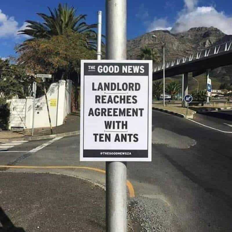 Sign reads 'The Good News Landlord Reaches Agreement with Ten Ants'.