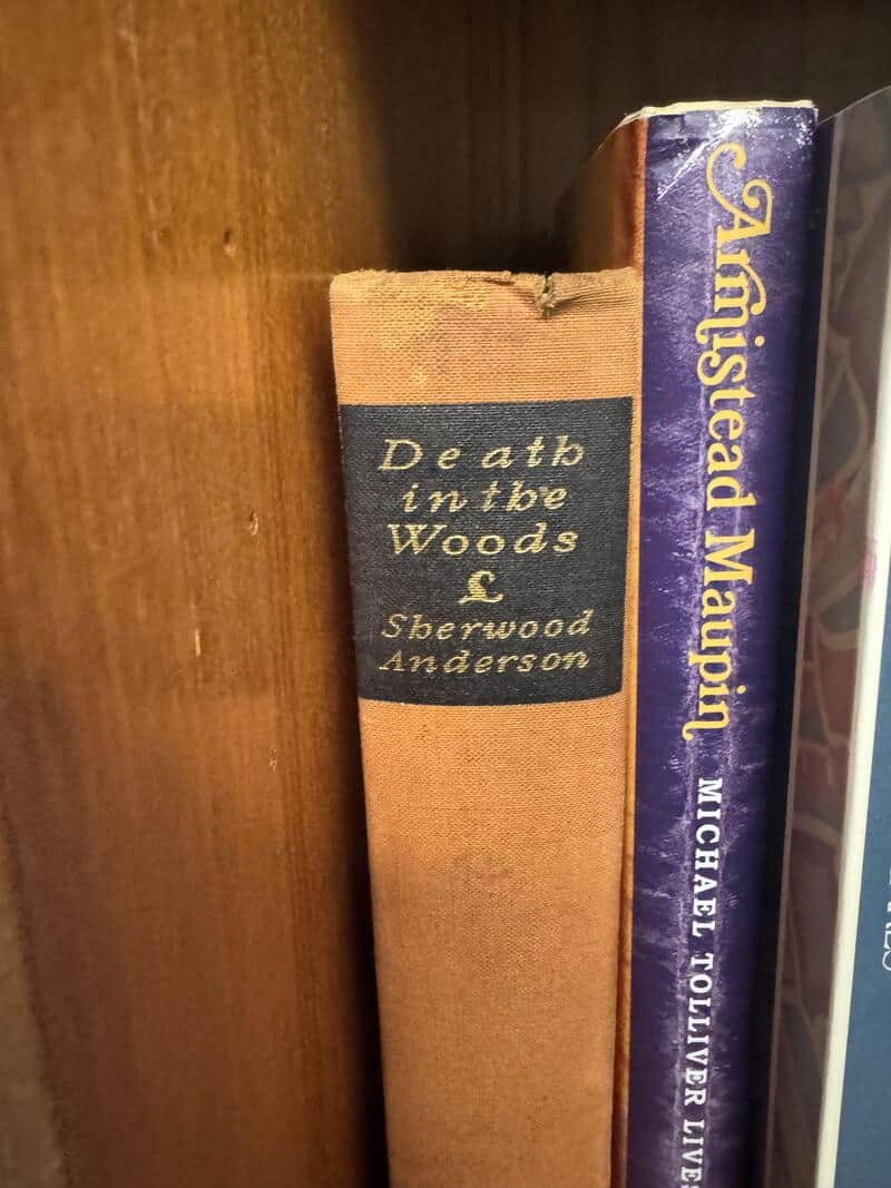 Close-up of two books on a shelf, one titled 'Deaths in the Woods' and the other 'Aniseed Maughlin'.