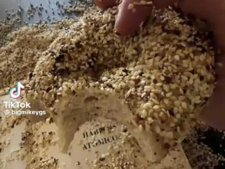 Person holding a bagel covered in sesame seeds with text overlay about being a book and bagel guy.