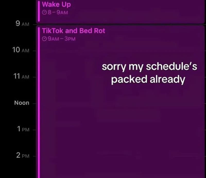 Schedule with events: Wake Up, TikTok and Bed Rot, and a message about a packed schedule.