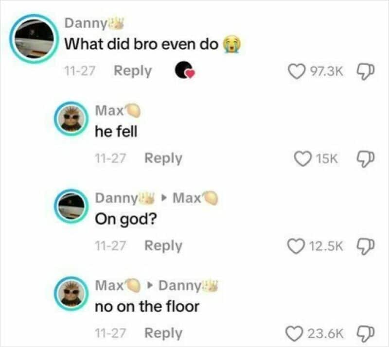TikTok comments about a dog falling and being on the floor.