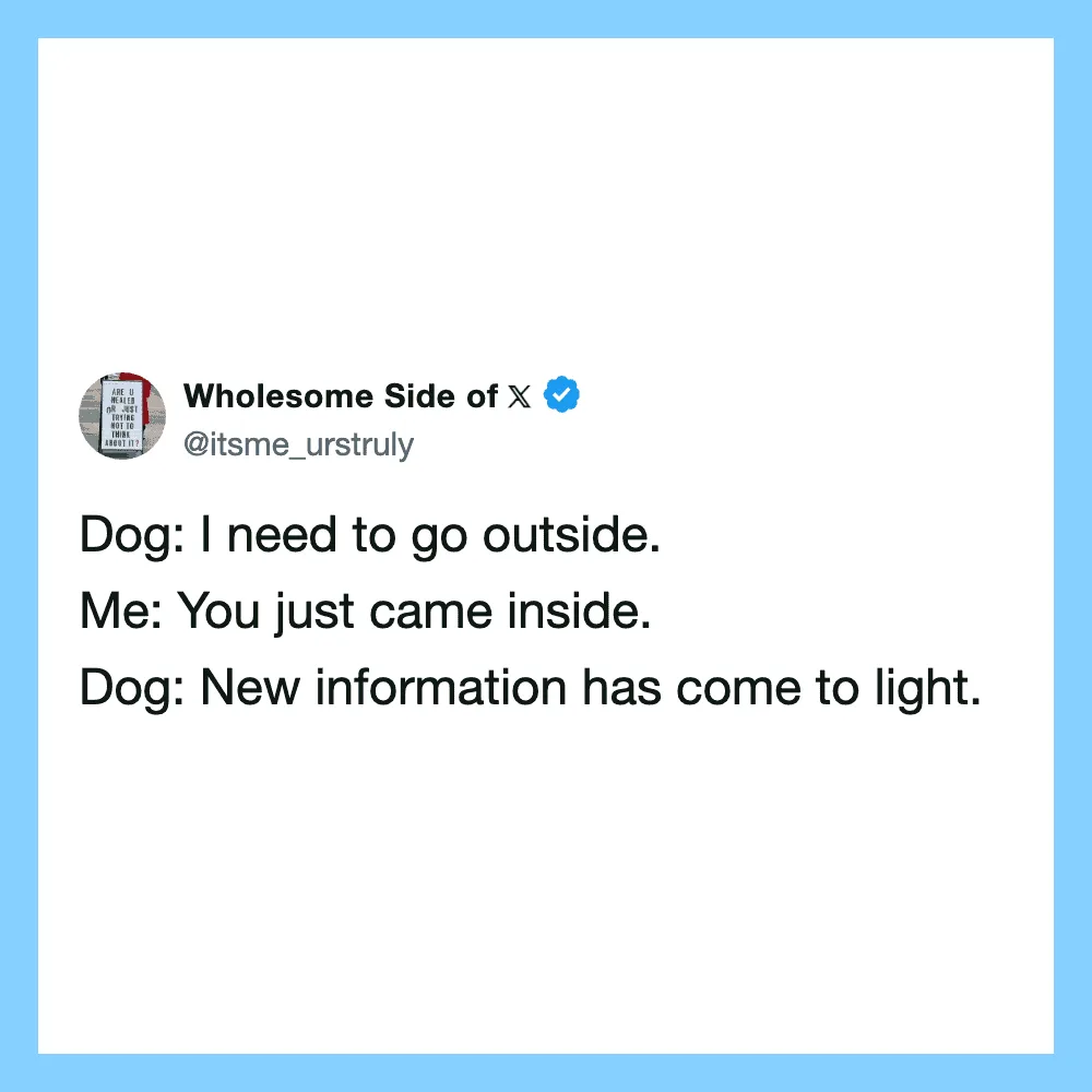 Dog and person having a humorous conversation about going outside.