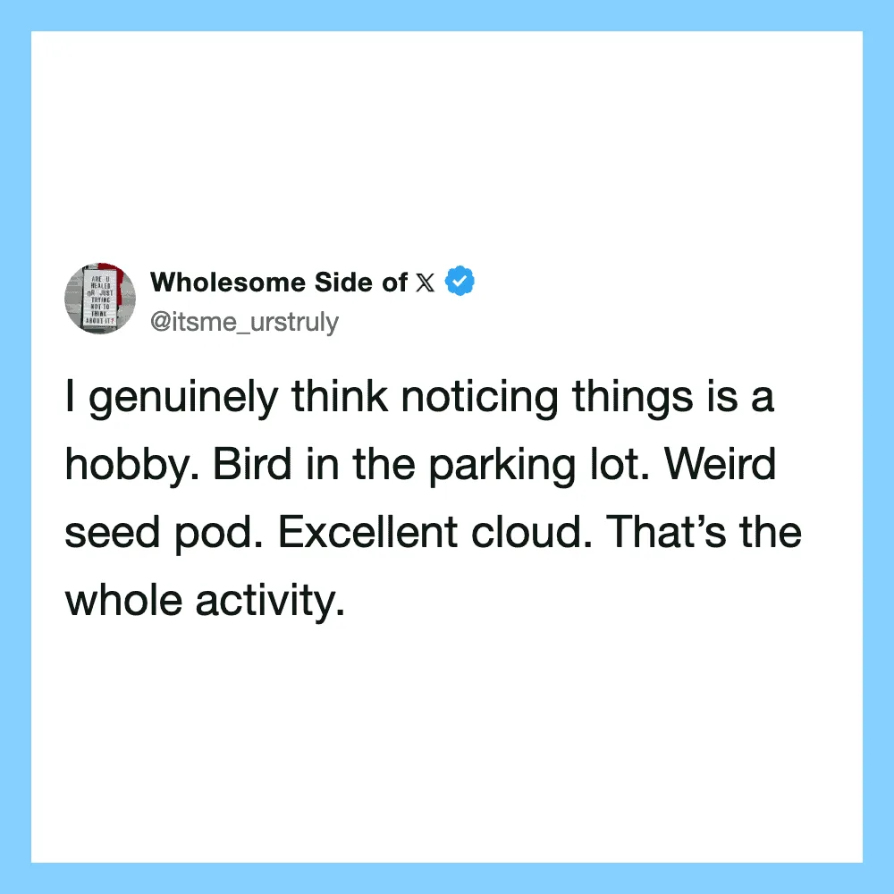 Bird in parking lot, seed pod, cloud, and activity.