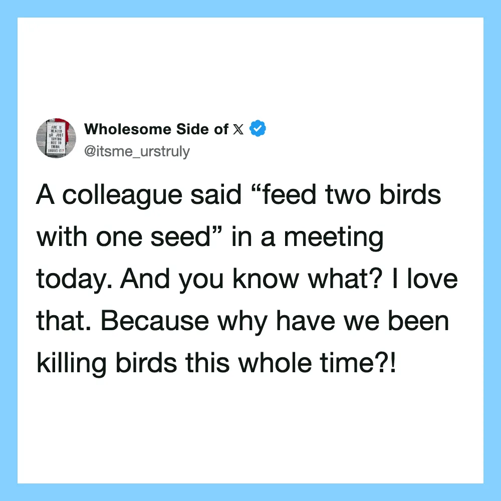 A tweet from Wholesome Side of X about feeding two birds with one seed.