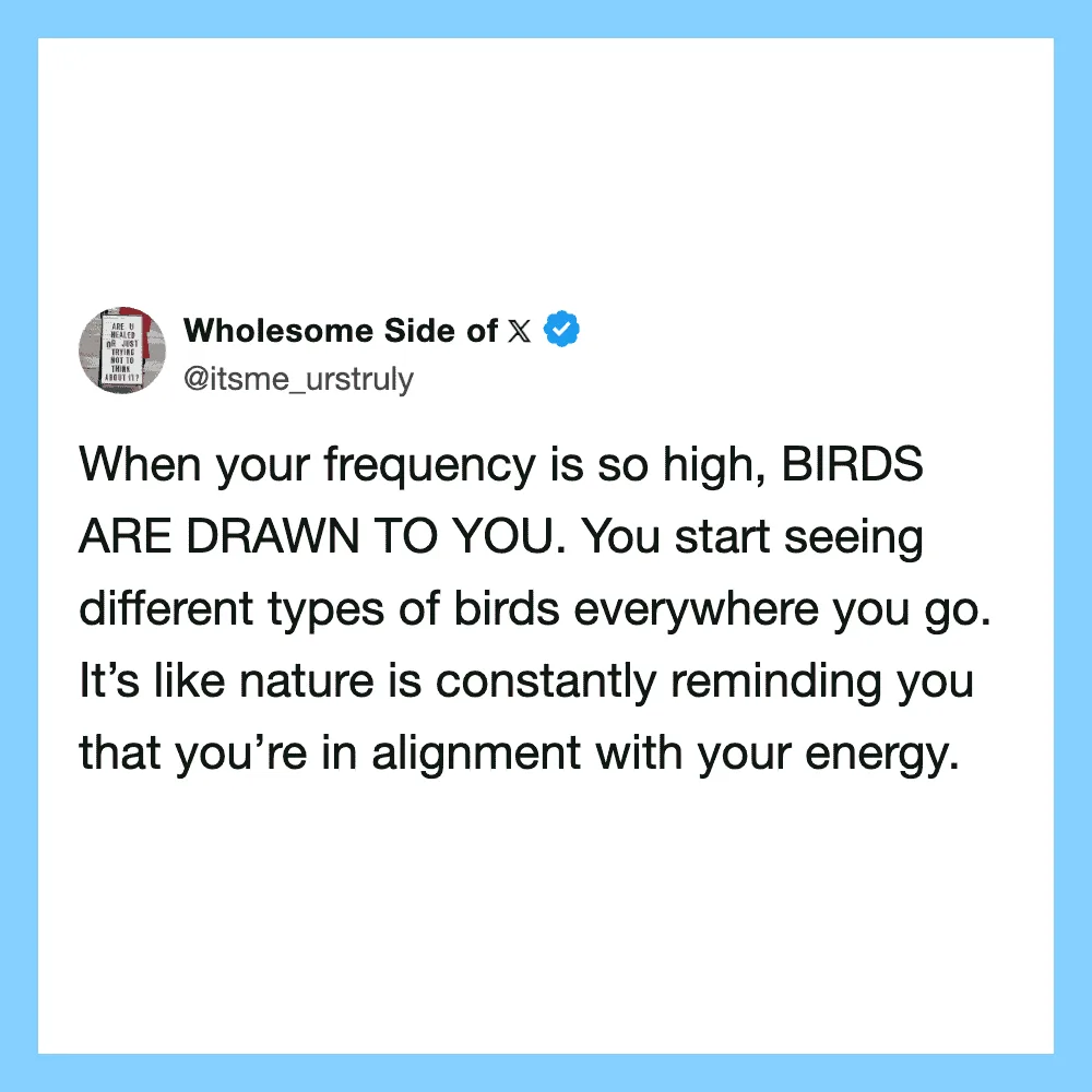 When your frequency is so high, BIRDS ARE DRAWN TO YOU. You start seeing different types of birds.