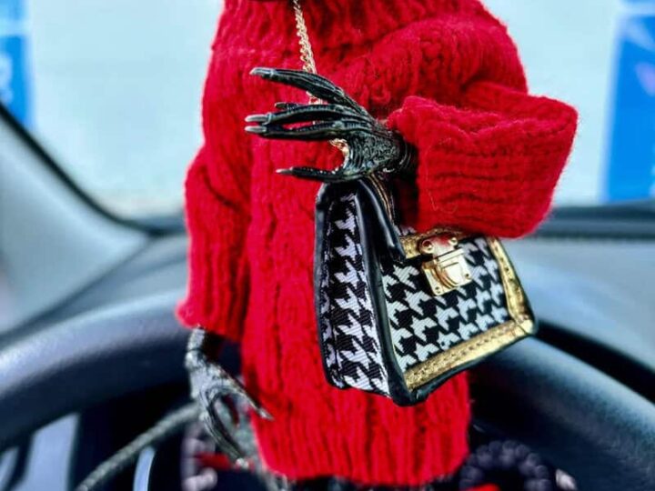 Alien doll in a red sweater with a handbag inside a car.